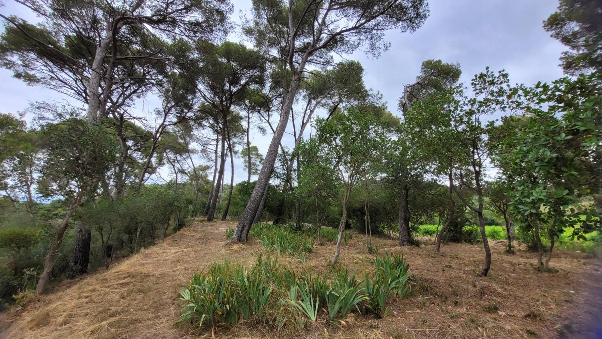 La Pinede, Logement Privatif Au Chateau Aumes Exterior foto